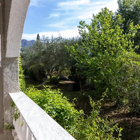 Neos Alexandros Sun & Fun Kato Korakiana