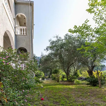 Neos Alexandros Sun & Fun * Kato Korakiana