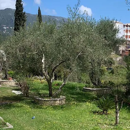 Neos Alexandros Sun & Fun Apartmán